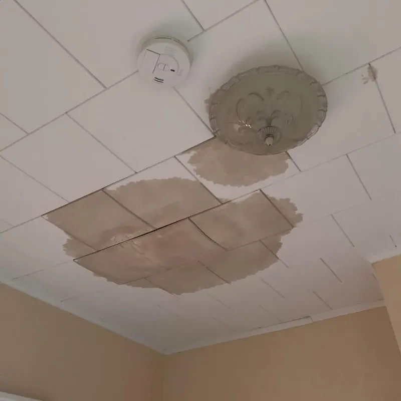 Ceiling Water Damage Repair in Lake Mohegan, NY